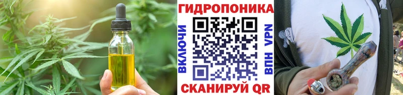 мега сайт  Ессентукская  Cannafood марихуана  закладка 