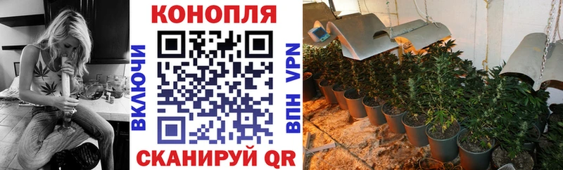 Конопля планчик как найти закладки Ессентукская
